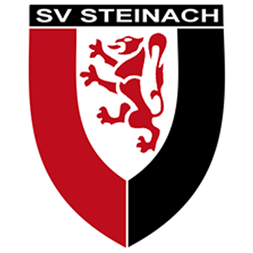 BSG Motor Steinach