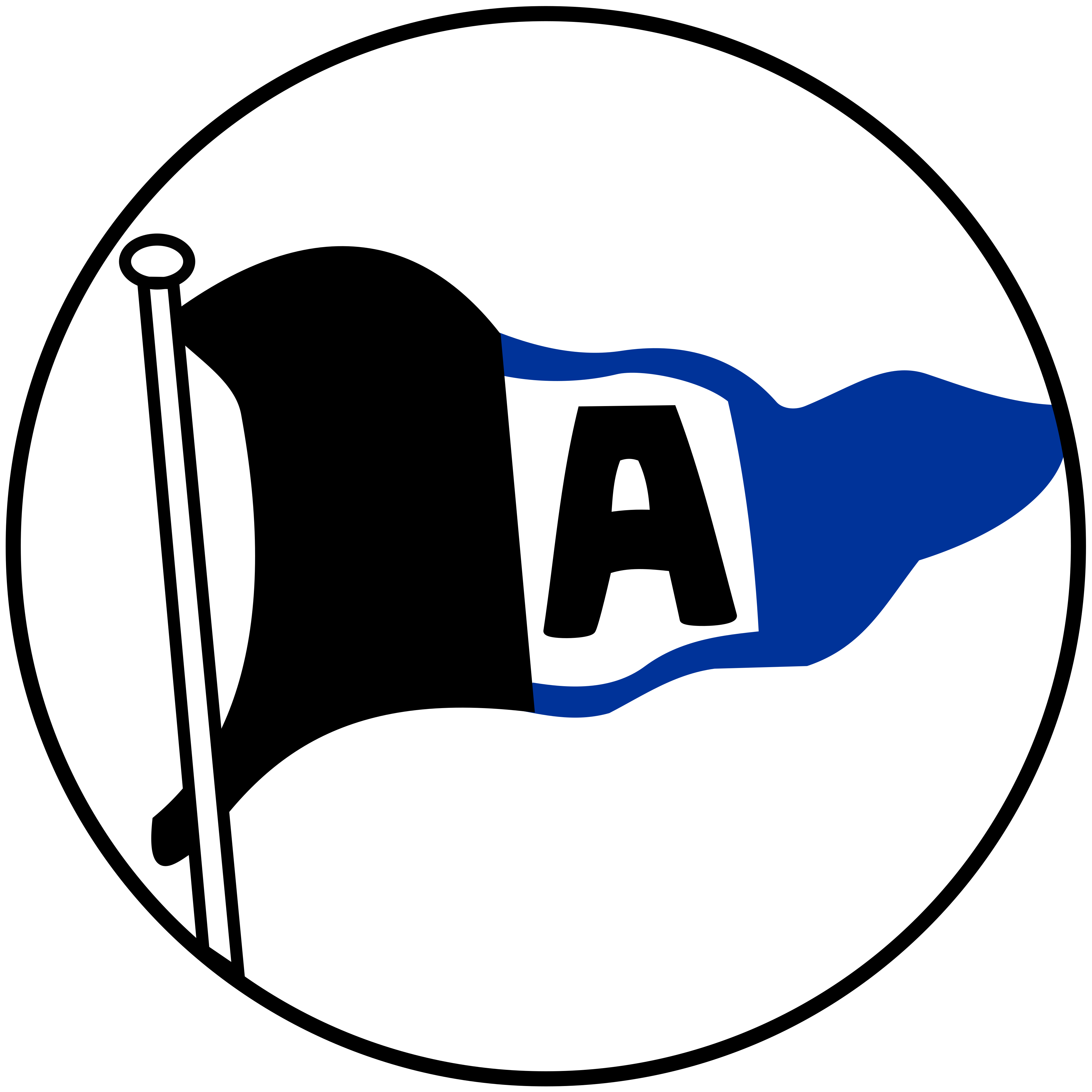 DSC Arminia Bielefeld