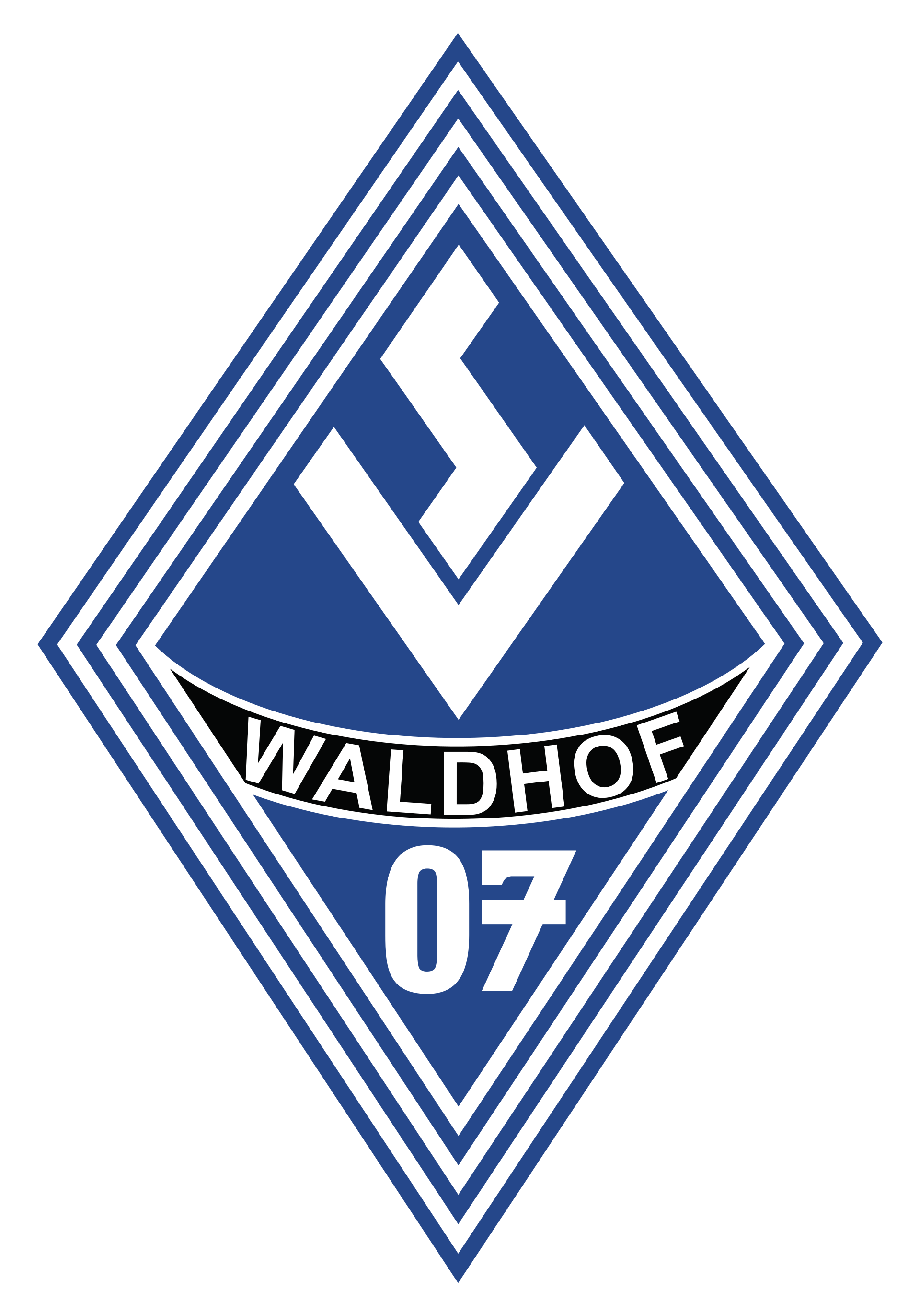 SV 07 Waldhof